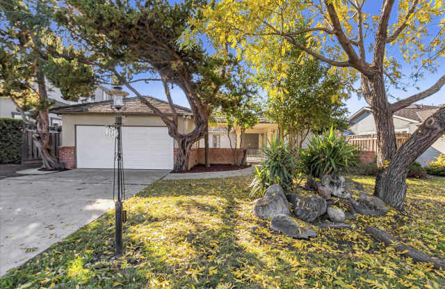 1878 Cabana Drive photos photos