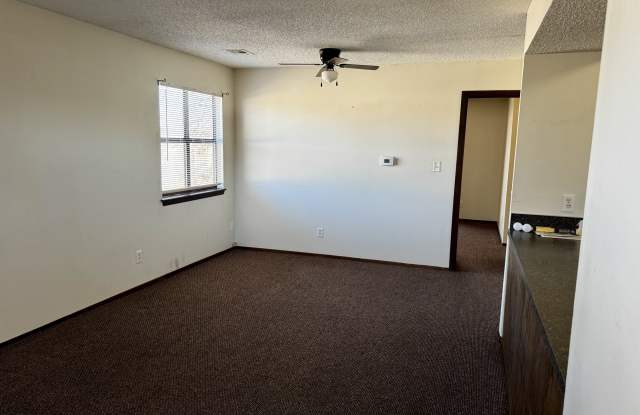 1035 South Kansas Avenue - Apt 4 Gallery 2
