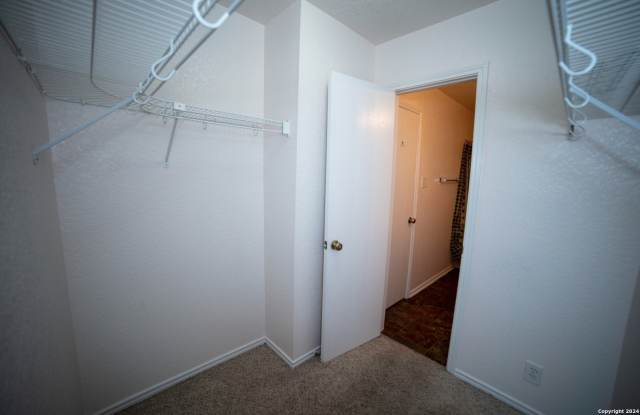4935 ANCIENT ELM Gallery 4