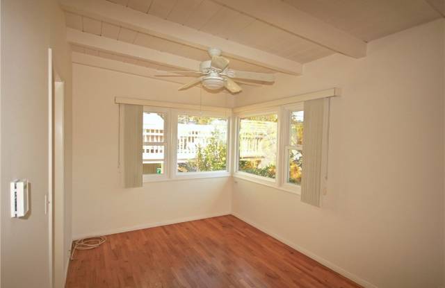 274 Dolphin Gallery 3