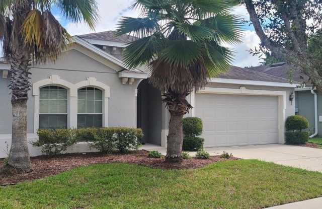 10714 CABBAGE TREE LOOP - 10714 Cabbage Tree Loop, Alafaya, FL 32825