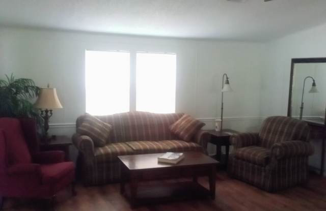 701 Harper Place - 701 Harper Place, Lady Lake, FL 32159