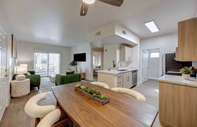 The Solena photos photos