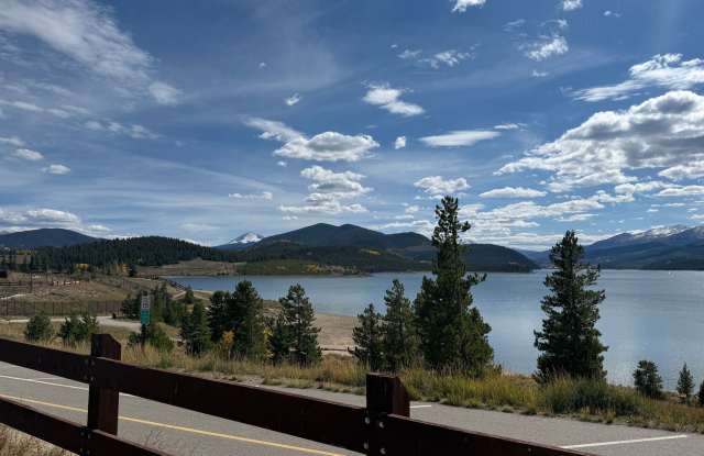 Lakefront Two Bedroom Two Bath Condo in Dillon Gallery 3