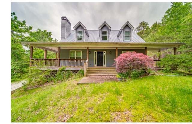 389 BLACK KNOB CHURCH RD - 389 Black Knob Church Rd, Pickens County, GA 30734
