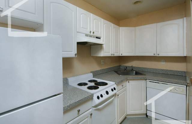 Allston 2 Bed available Jan 1st photos photos