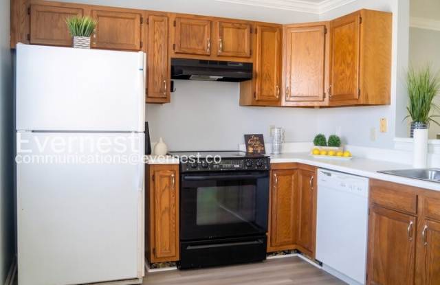 4809 Brighton Lane Gallery 2
