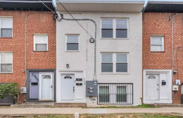 Newly Renovated 1 BR/1 BA Apartment in Anacostia! photos photos