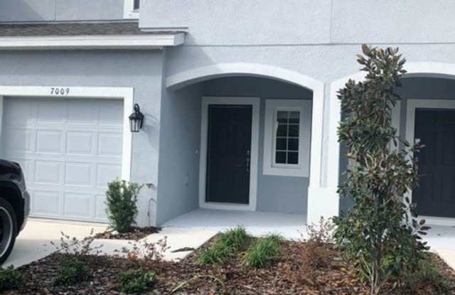 7009 Grand Elm Way - 7009 Grand Elm Dr, Progress Village, FL 33578