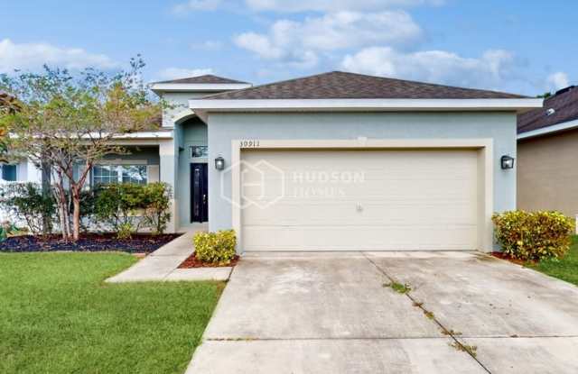 30911 Satinleaf Run photos photos