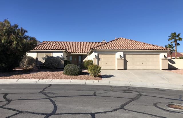 3617 Blackheart Street - 3617 Blackheart Street, Las Vegas, NV 89129