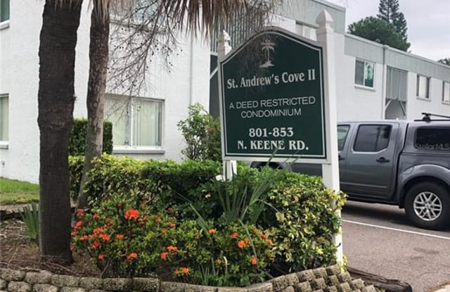 839 N KEENE ROAD - 839 North Keene Road, Clearwater, FL 33755