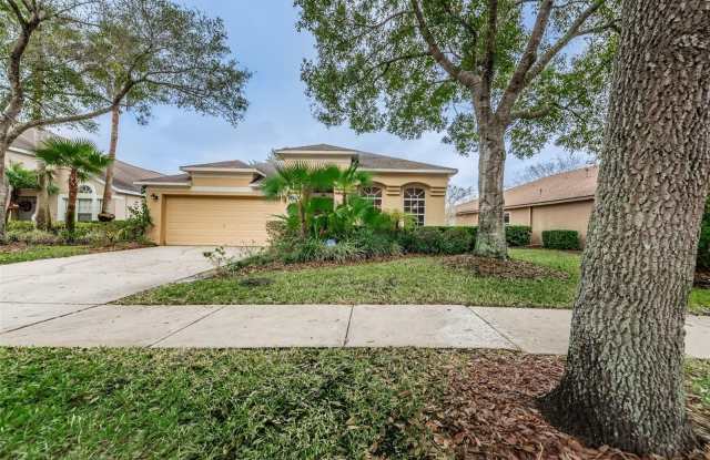 11803 LANCASHIRE DRIVE - 11803 Lancashire Drive, Westchase, FL 33626