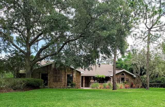 520 CENTERBROOK DRIVE - 520 Centerbrook Drive, Bloomingdale, FL 33511