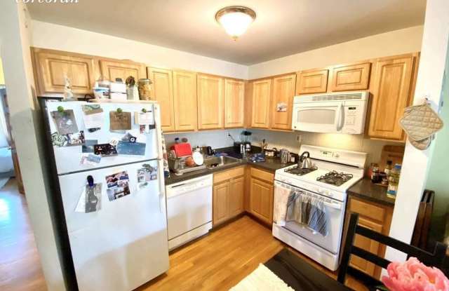 238 10th Street - 238 10th Street, Brooklyn, NY 11215