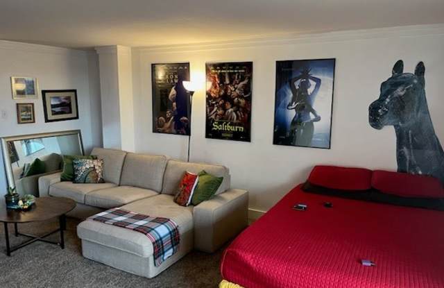 APRIL LEASING SPECIAL - Studio Apartment off 10th and CO Blvd - 1035 Colorado Boulevard, Denver, CO 80206