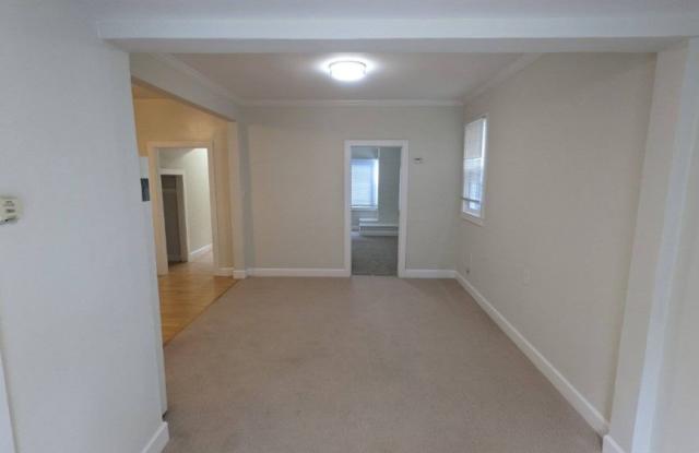 55 Brosnan St Gallery 4