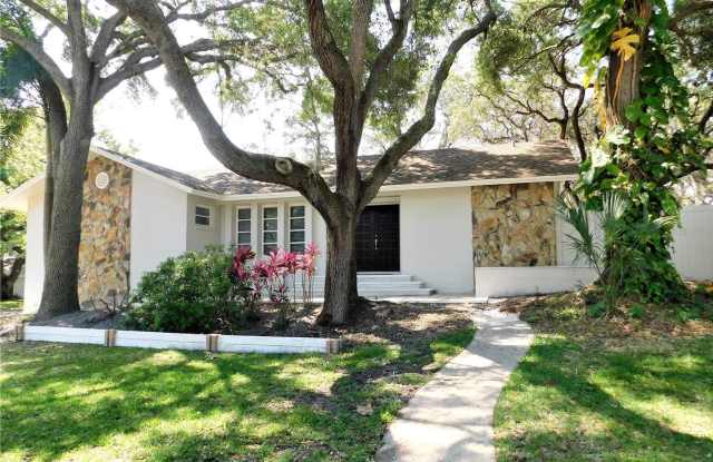 Corner Lot Home in Safety Harbor photos photos