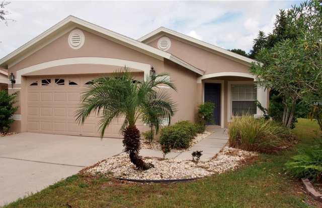 11238 SUMMER STAR DRIVE - 11238 Summer Star Dr, Riverview, FL 33579