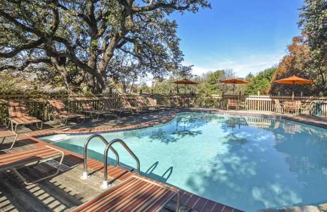 2123 Dickson Dr Gallery 4