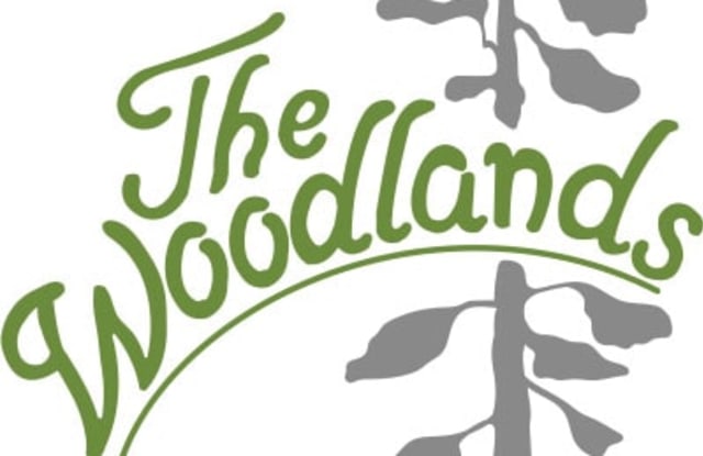 824 West Gurley Street - 137 photos photos