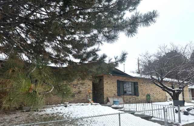 Well maintained tree street home with garage - 731 1st Street, Elko, NV 89801