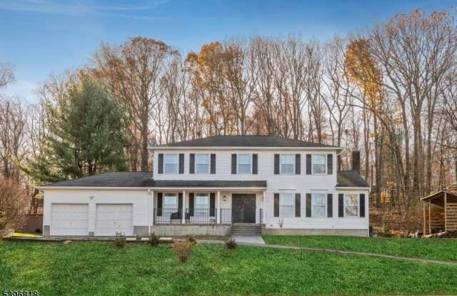 18 Lisa Dr - 18 Lisa Drive, Budd Lake, NJ 07828