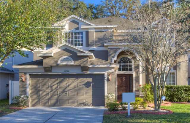 10504 LUCAYA DRIVE - 10504 Lucaya Drive, Tampa, FL 33647