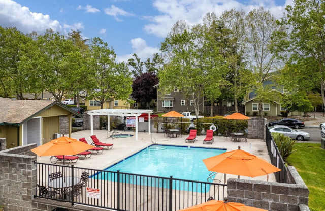 The Meadows Gallery 2