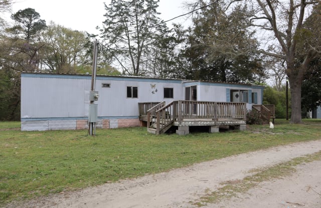 1643 Old Grantham Road - 1643 Old Grantham Road, Wayne County, NC 27530