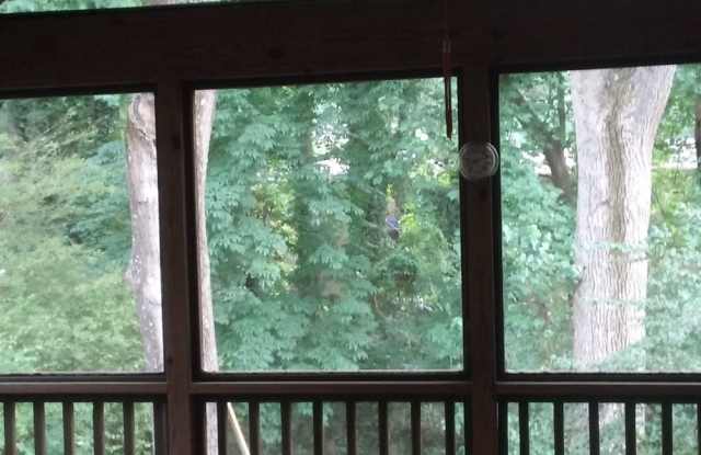 174 Ridgeland Avenue photos photos