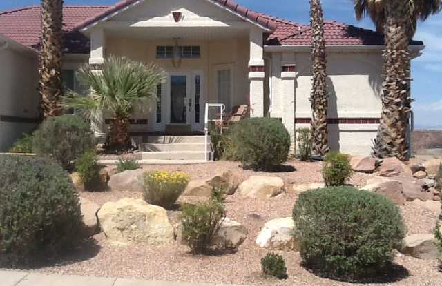 4B/3B Home - 682 Lava Point Dr photos photos