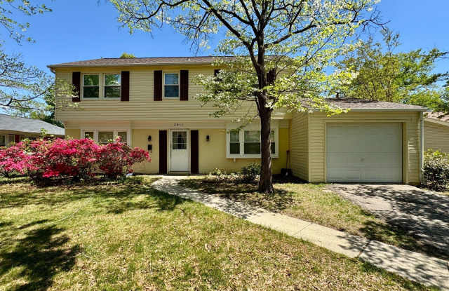 2911 TALLOW photos photos