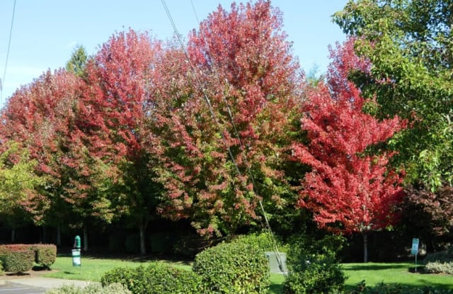 Springwater Trail photos photos Springwater Trail photos photos