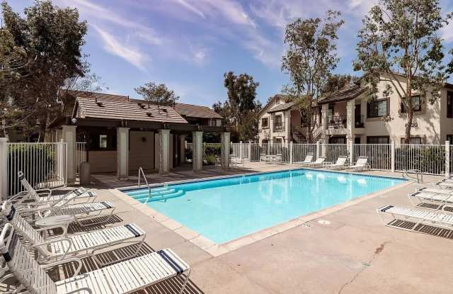 8520 Summerdale Rd Apt 51 photos photos