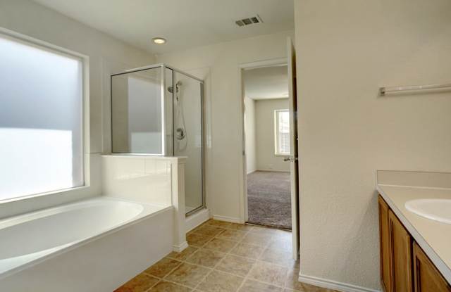 1808 Wind Dancer Trail Gallery 2