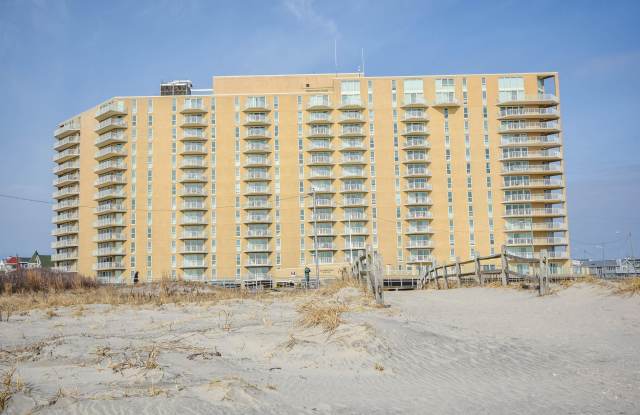 322 Boardwalk photos photos