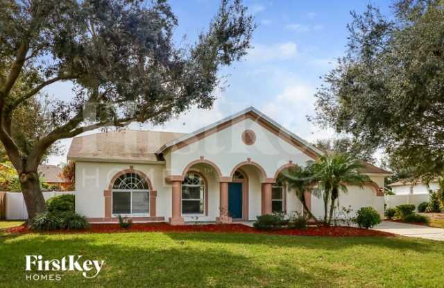11805 Cliffwood Court - 11805 Cliffwood Court, Riverview, FL 33569