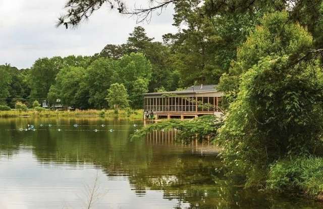 Affinitee at Pine Lake Gallery 4
