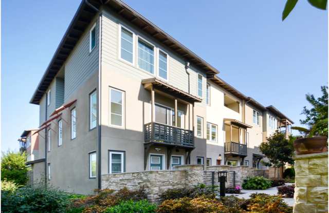South Cove Dream Home! photos photos
