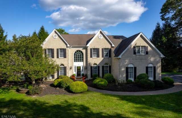 20 Janet Dr - 20 Janet Drive, Morris County, NJ 07853