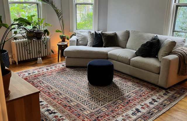 119 Antrim St photos photos