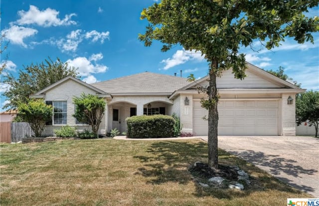 1506 Amarylis Drive - 1506 Amarylis Drive, Pflugerville, TX 78660