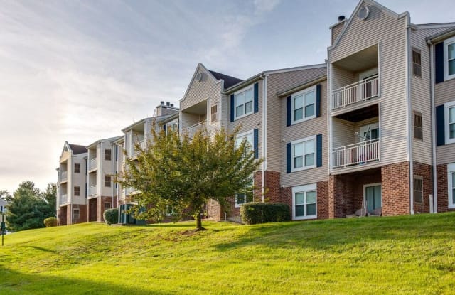 Elme Manassas photos photos