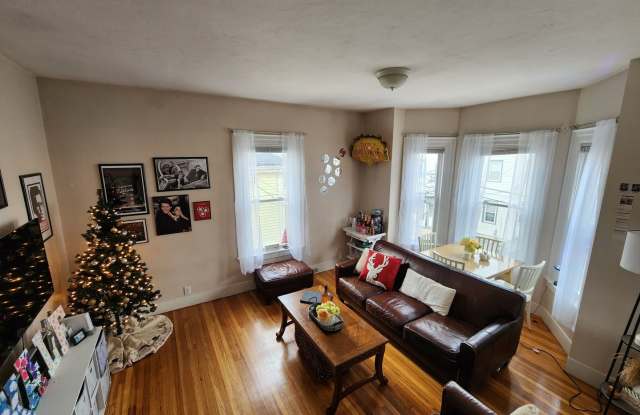 Top-notch and elegant apartment - 17 Wadsworth Street, Boston, MA 02134