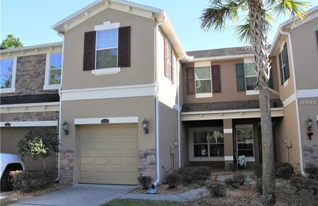12533 STREAMDALE DRIVE - 12533 Streamdale Dr, Keystone, FL 33626
