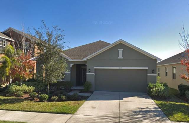 10145 Celtic Ash Dr - 10145 Celtic Ash Drive, Apollo Beach, FL 33573
