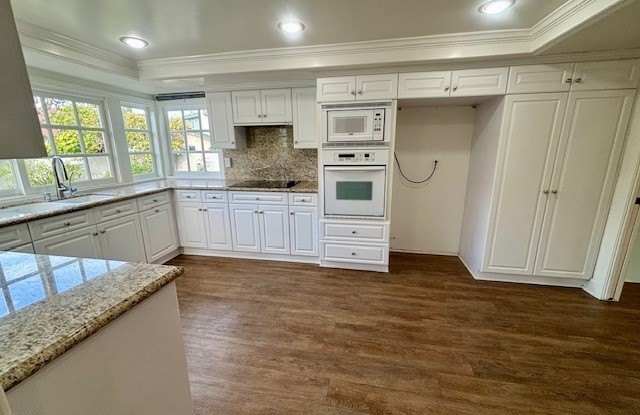 3571 Carnation photos photos