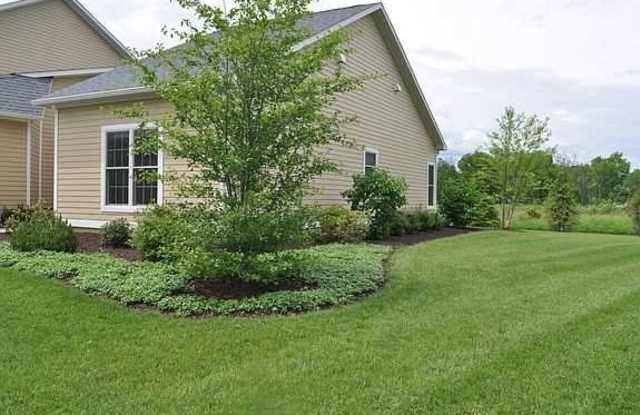 417 GARDENIA DRIVE Gallery 3
