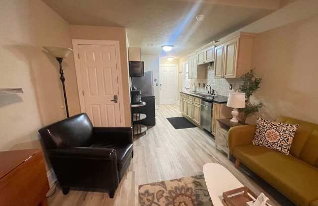 Furnished 2 bedroom 2 bath Condo - Apartment in a Gated Community, Blue Eye, MO, Near Branson, MO photos photos